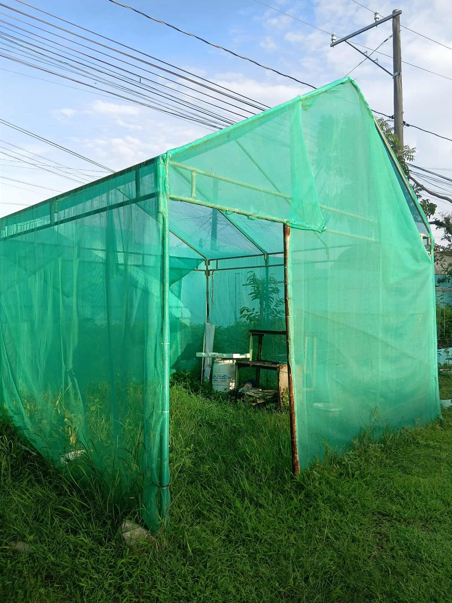 Shade Net Greenhouse