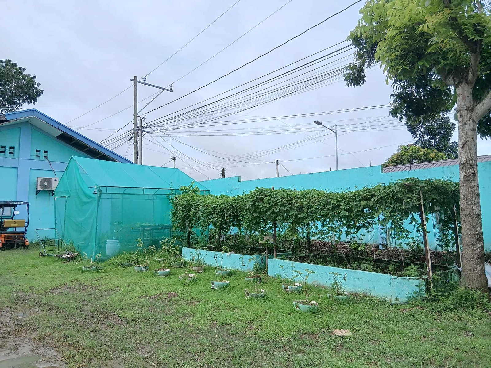 Another Garden